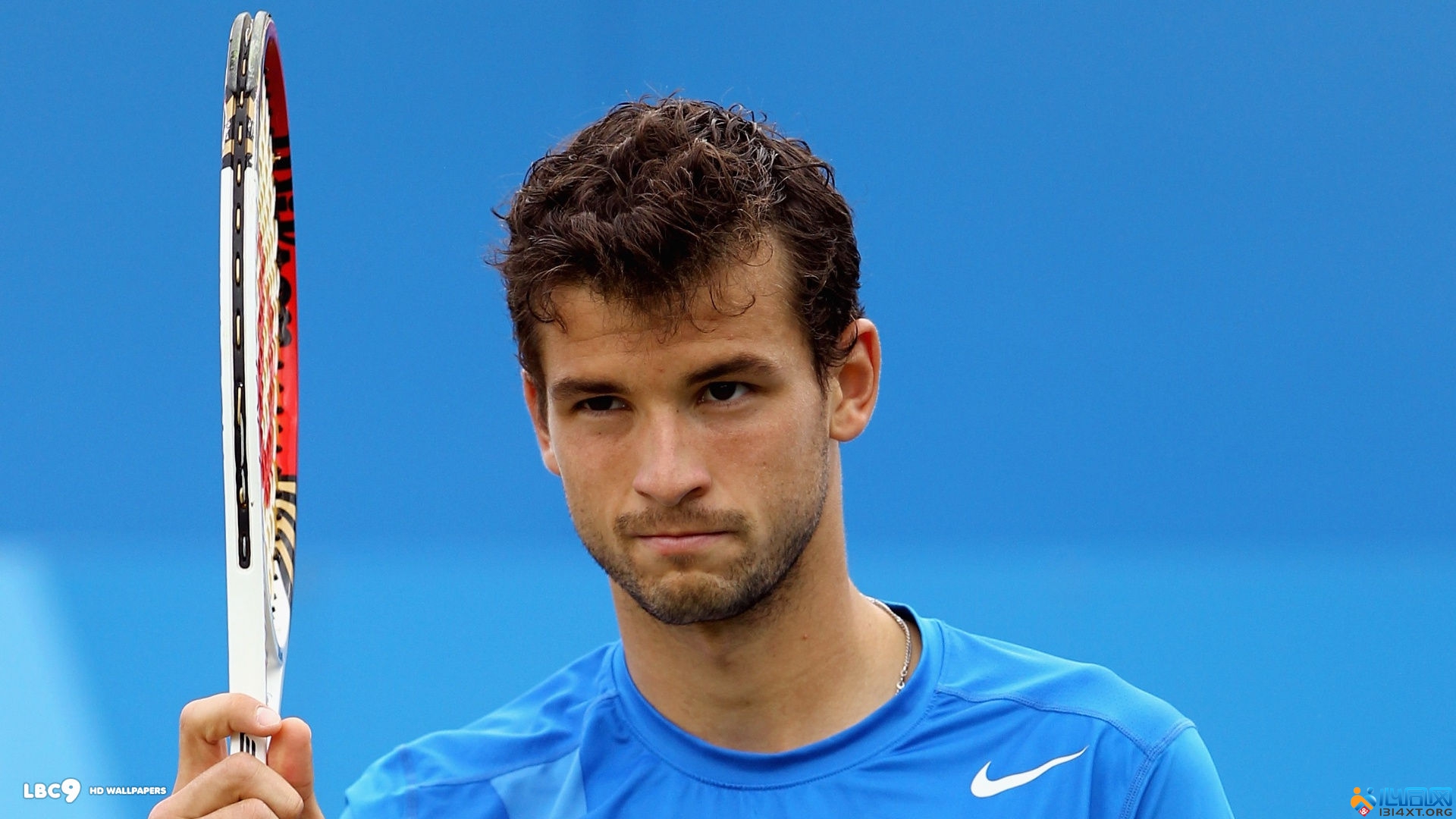 展示出色的 展示出色的