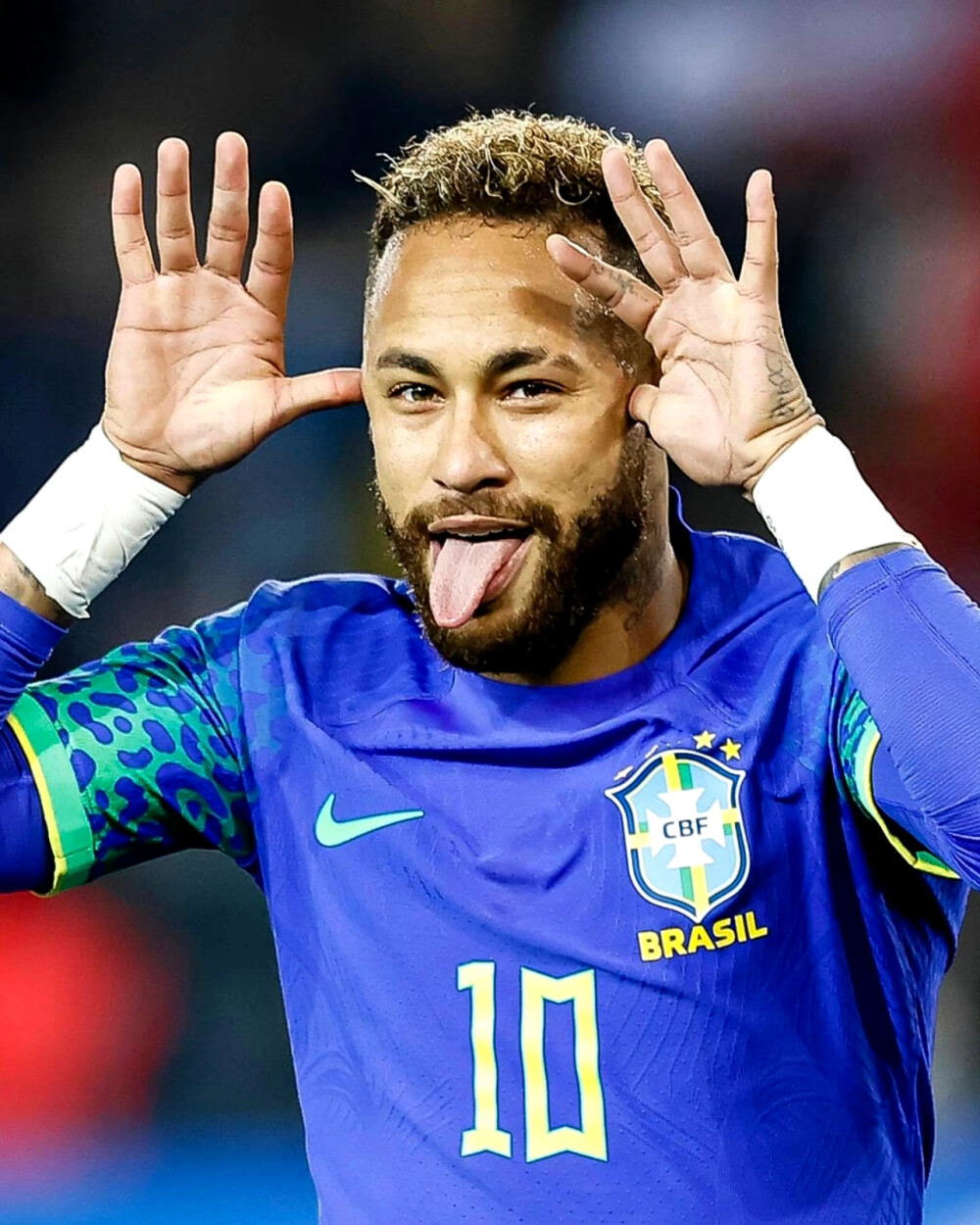 纷把目光投 纷把目光投