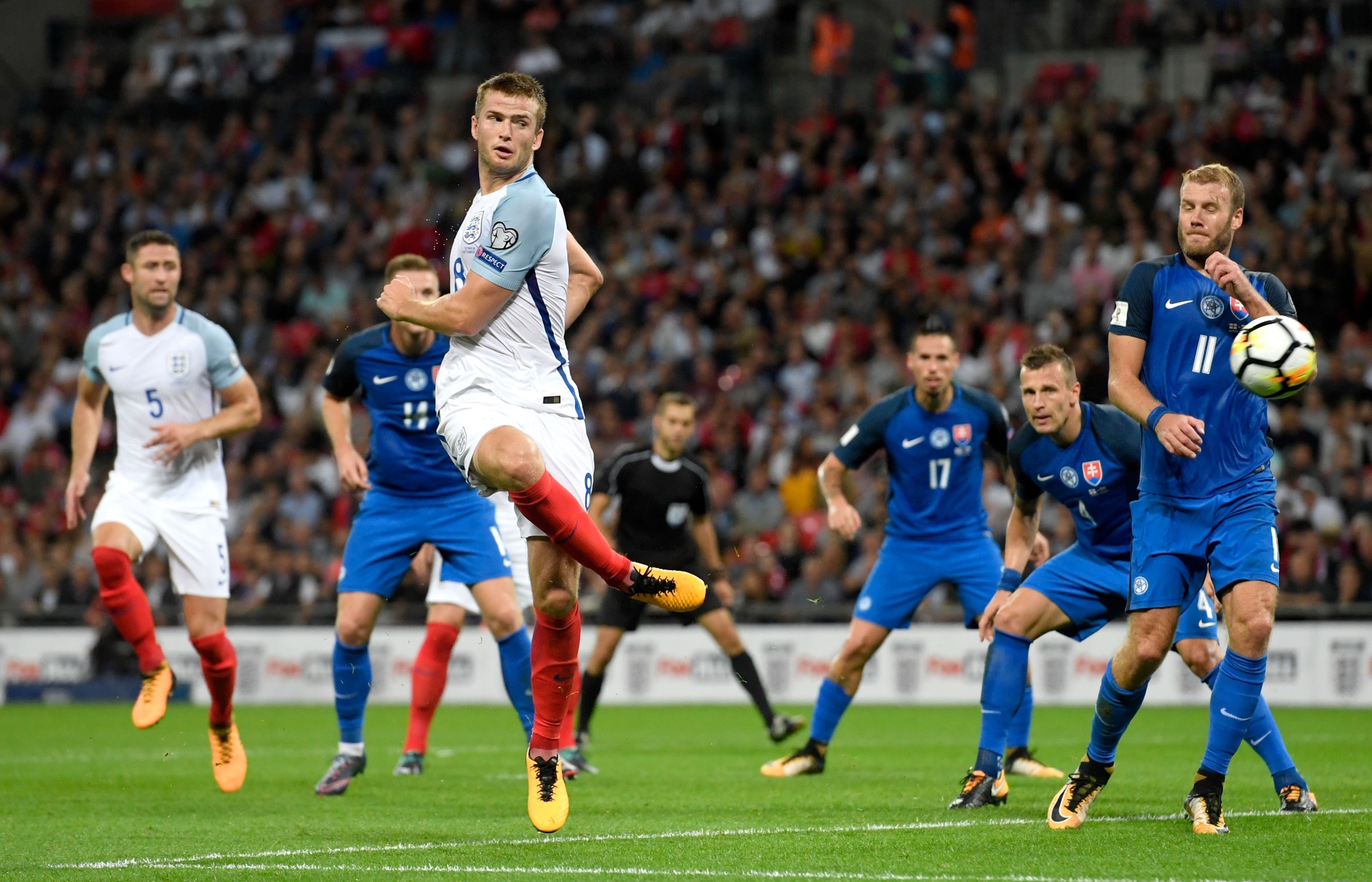 大众可用的 大众可用的